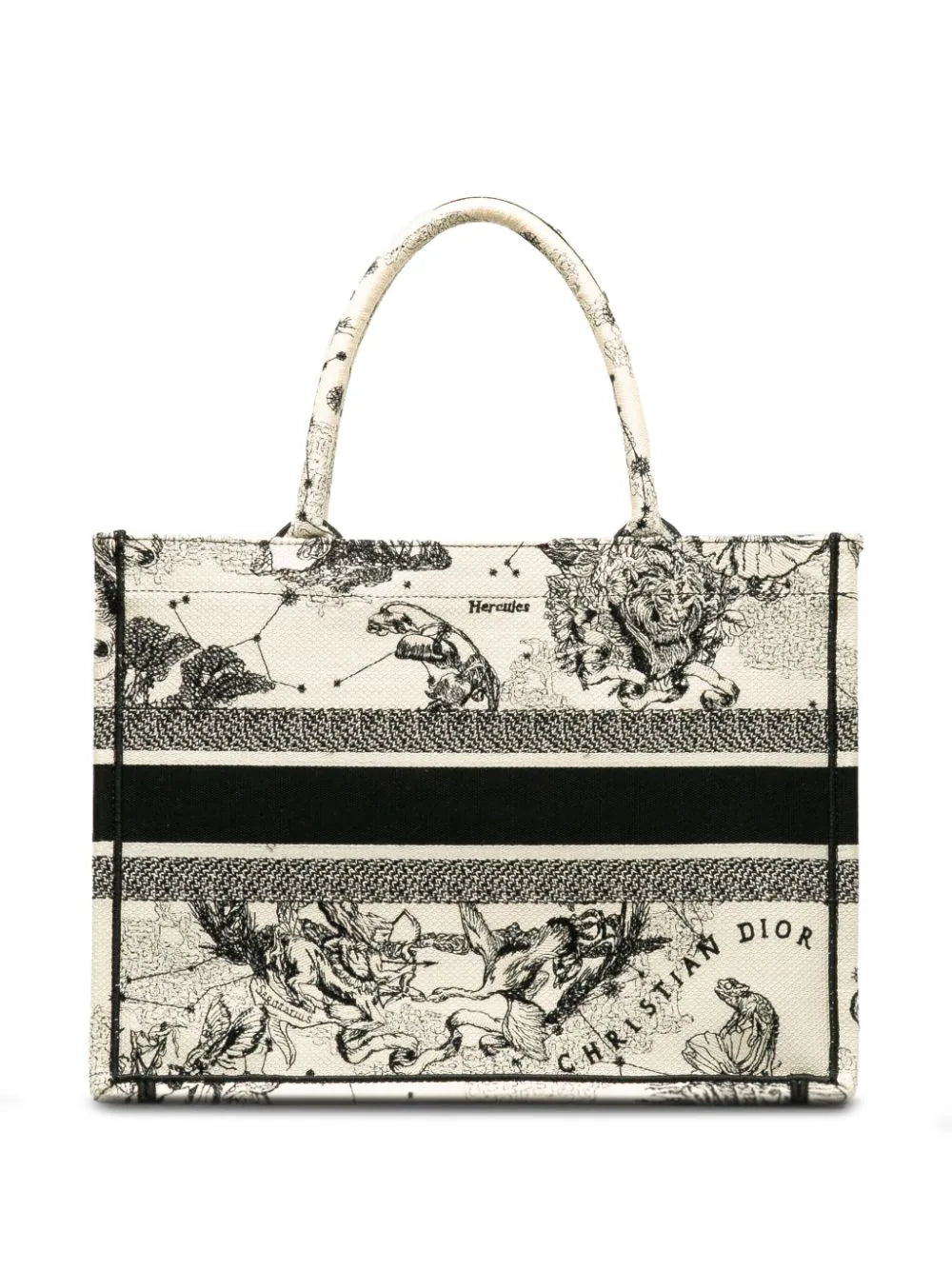 Christian Dior bolsa Zodiac Book Tote pequeña 2022