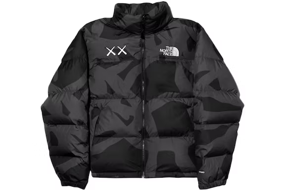 Chaqueta KAWS x The North Face Retro 1996 Nuptse