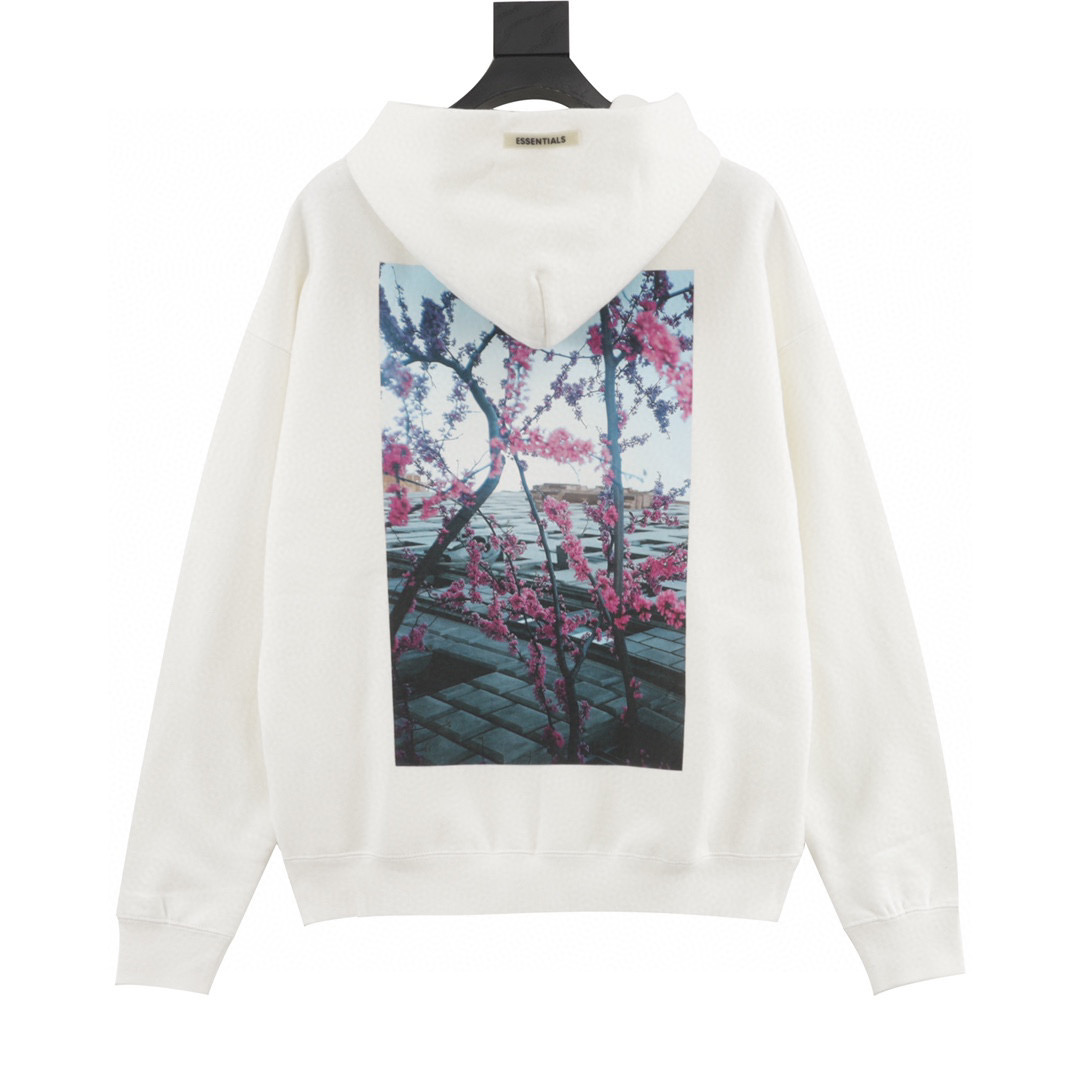 Hoodie Fear of God Essentials estampado